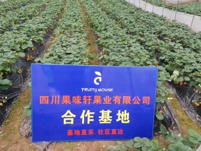 果味轩合作基地